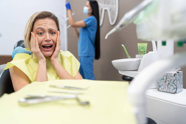 Best Emergency Dental Care for Broken or Chipped Teeth in Stillwater, MN